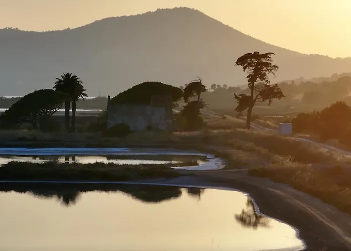 T2 Les Dauphins Giens * Hyères