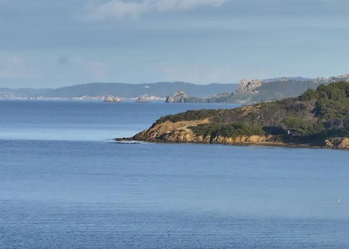 T2 Les Dauphins Giens Lejlighed Hyères